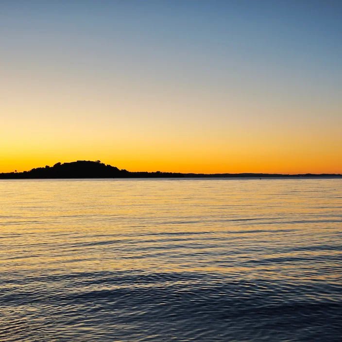 Golden-orange sunrise over calm Auckland harbour waters with the distant silhouetted shoreline on the horizon.